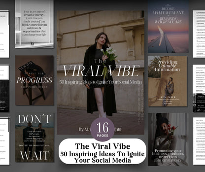 The Viral Vibe ebook with MRR+PLR